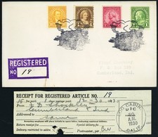 Log Cabin Fancy Cancel